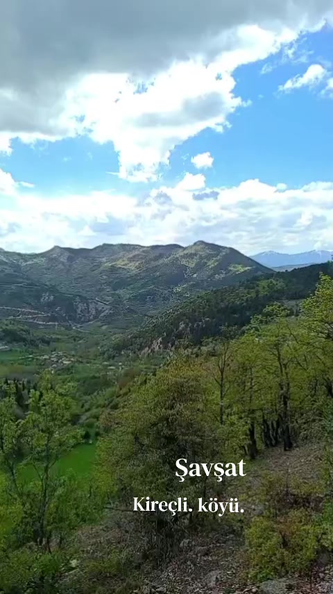 @08.G&Uuml;LL&Uuml;