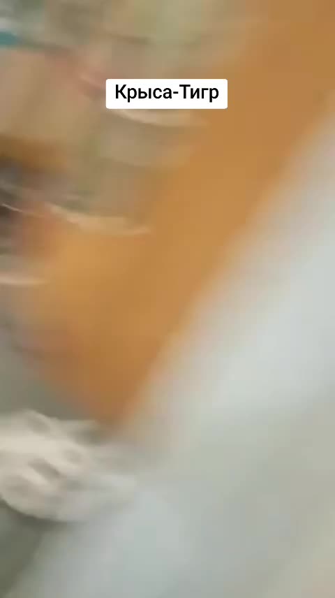 @Skinz