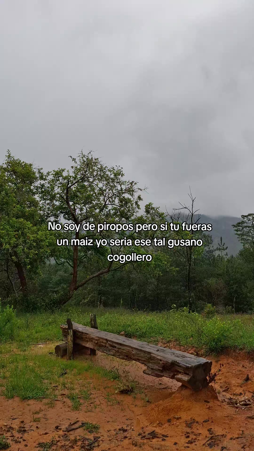 @El inge_agro🧑🌾🌽