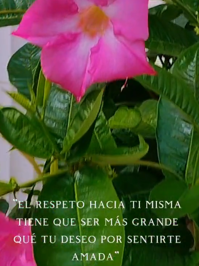 @AdriAnA