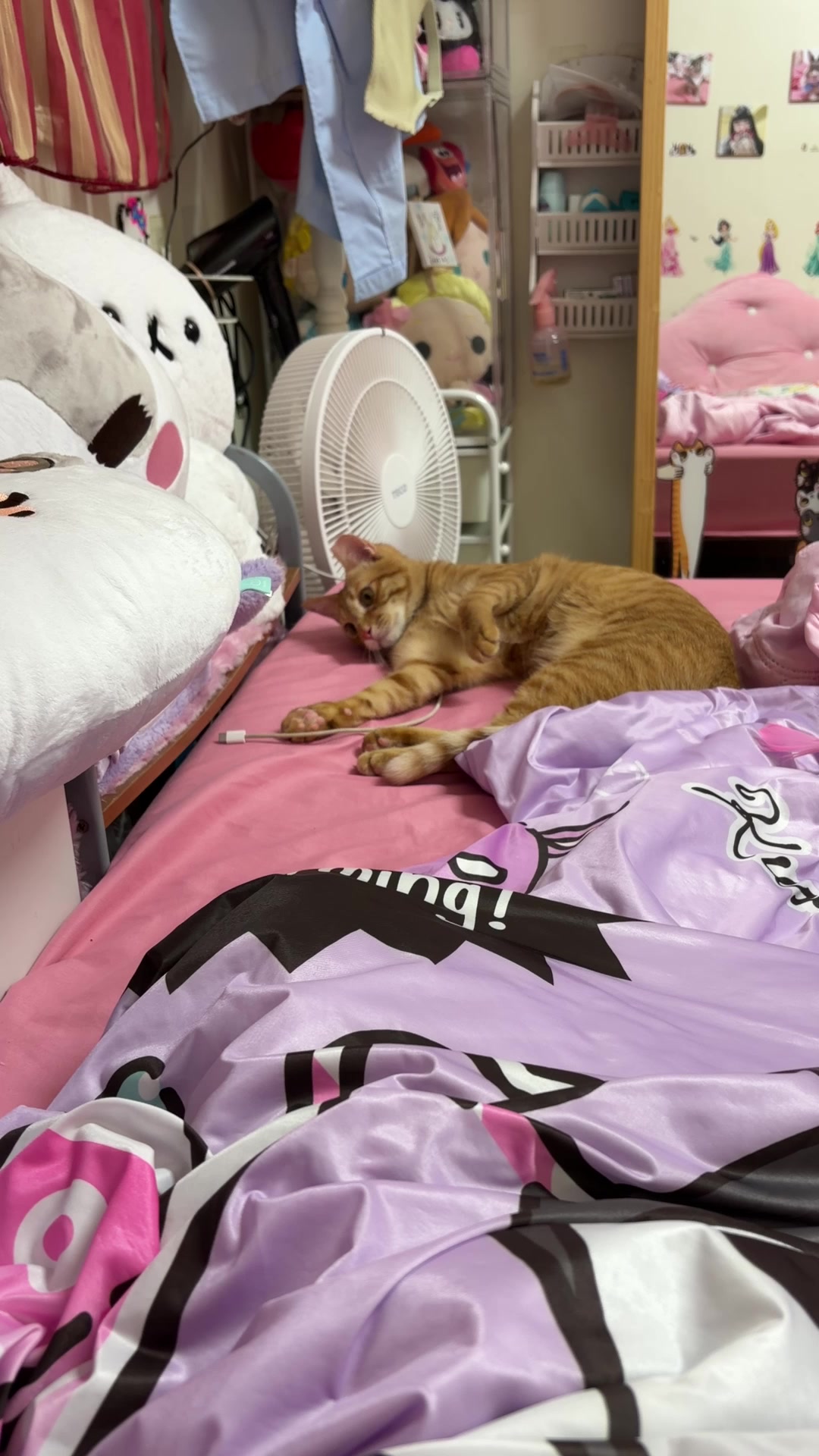 @王米米