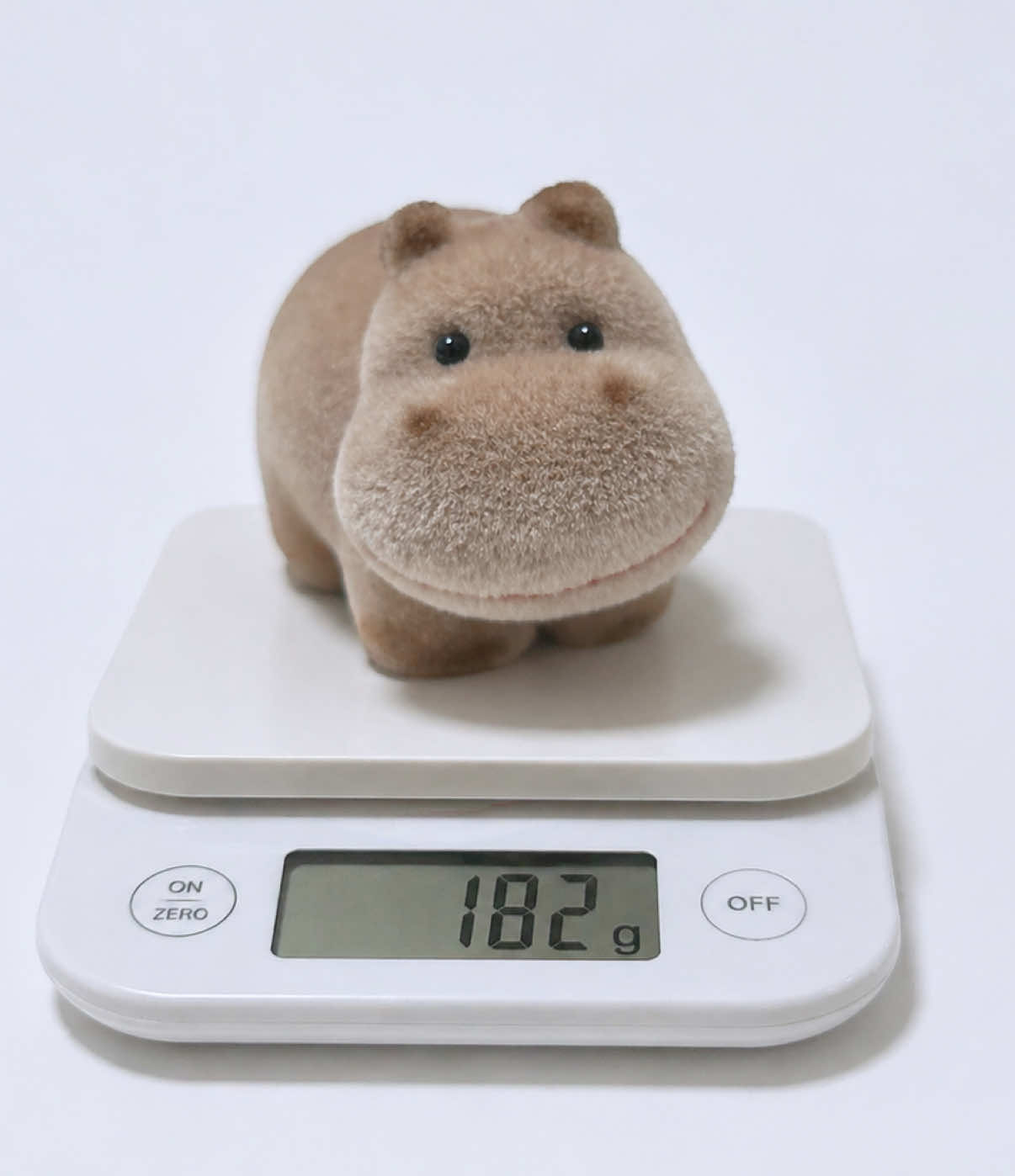 @Baby Hippo