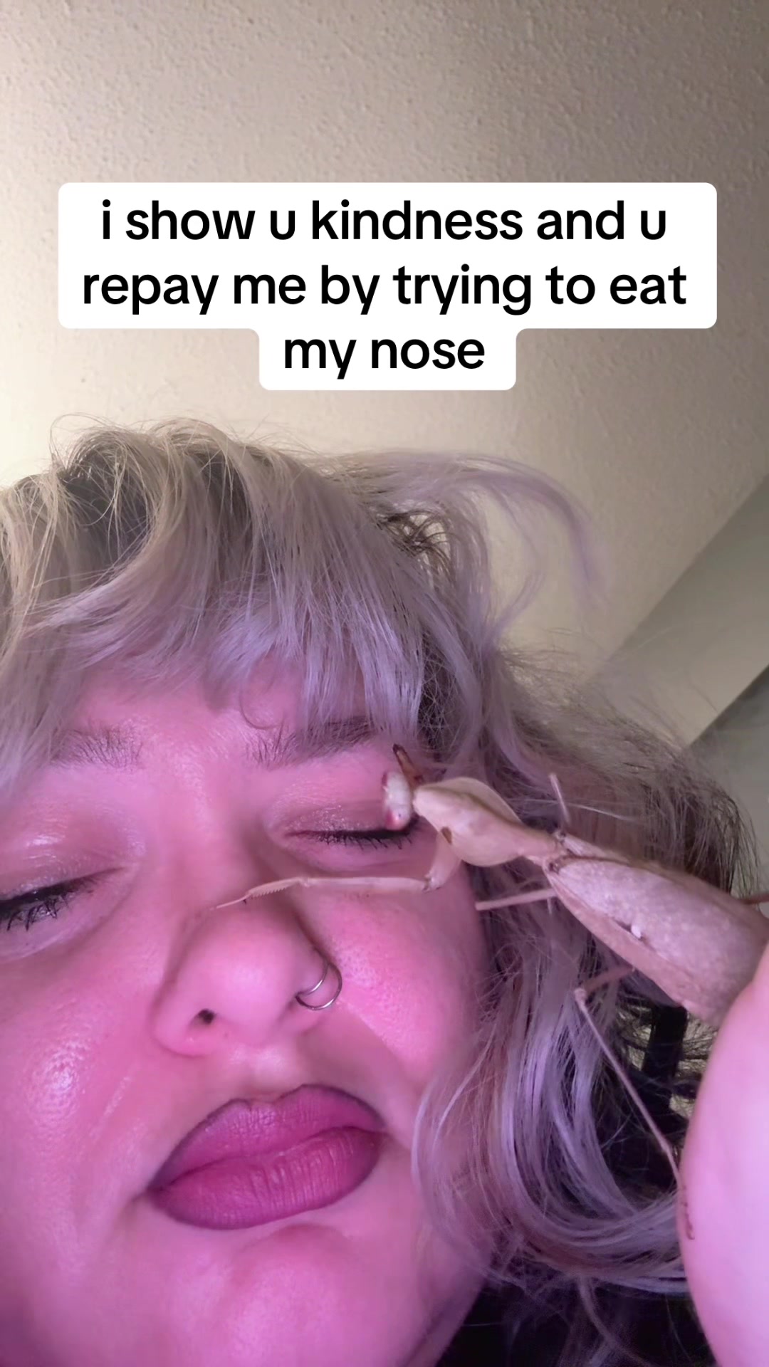 @fia