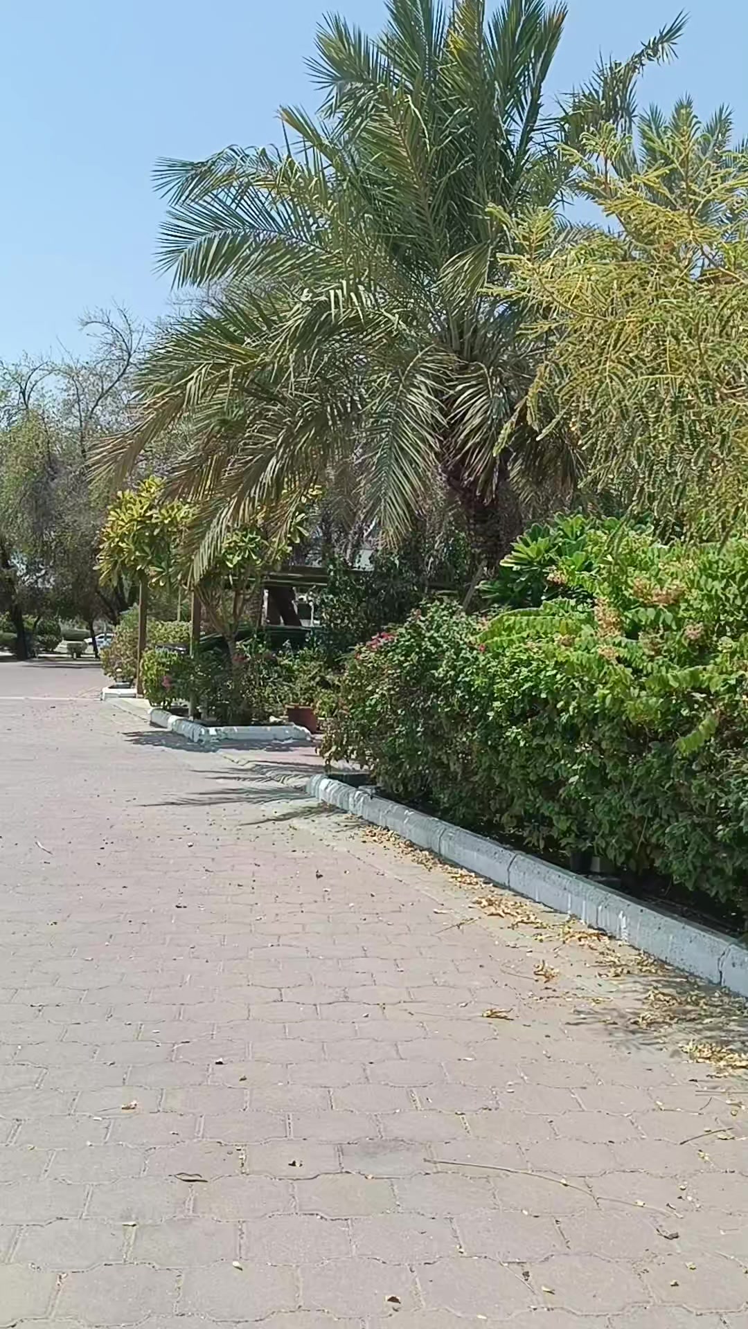 @❤নড়াইল🇰🇼Kuwait🌾🌾🌾