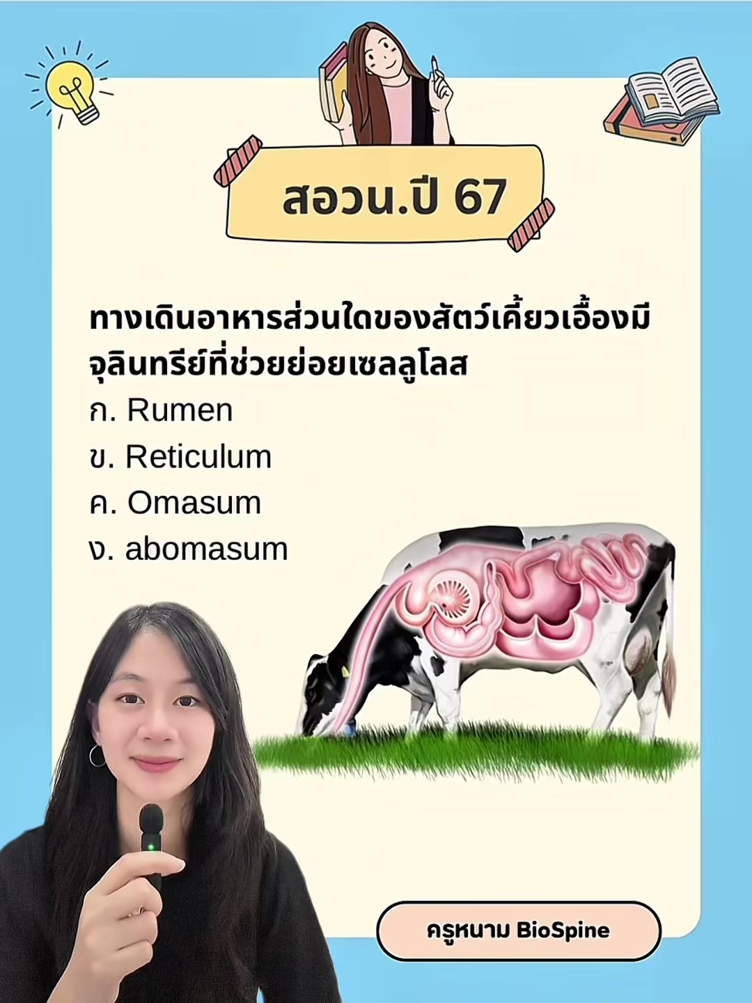 @Biospine by ครูหนาม