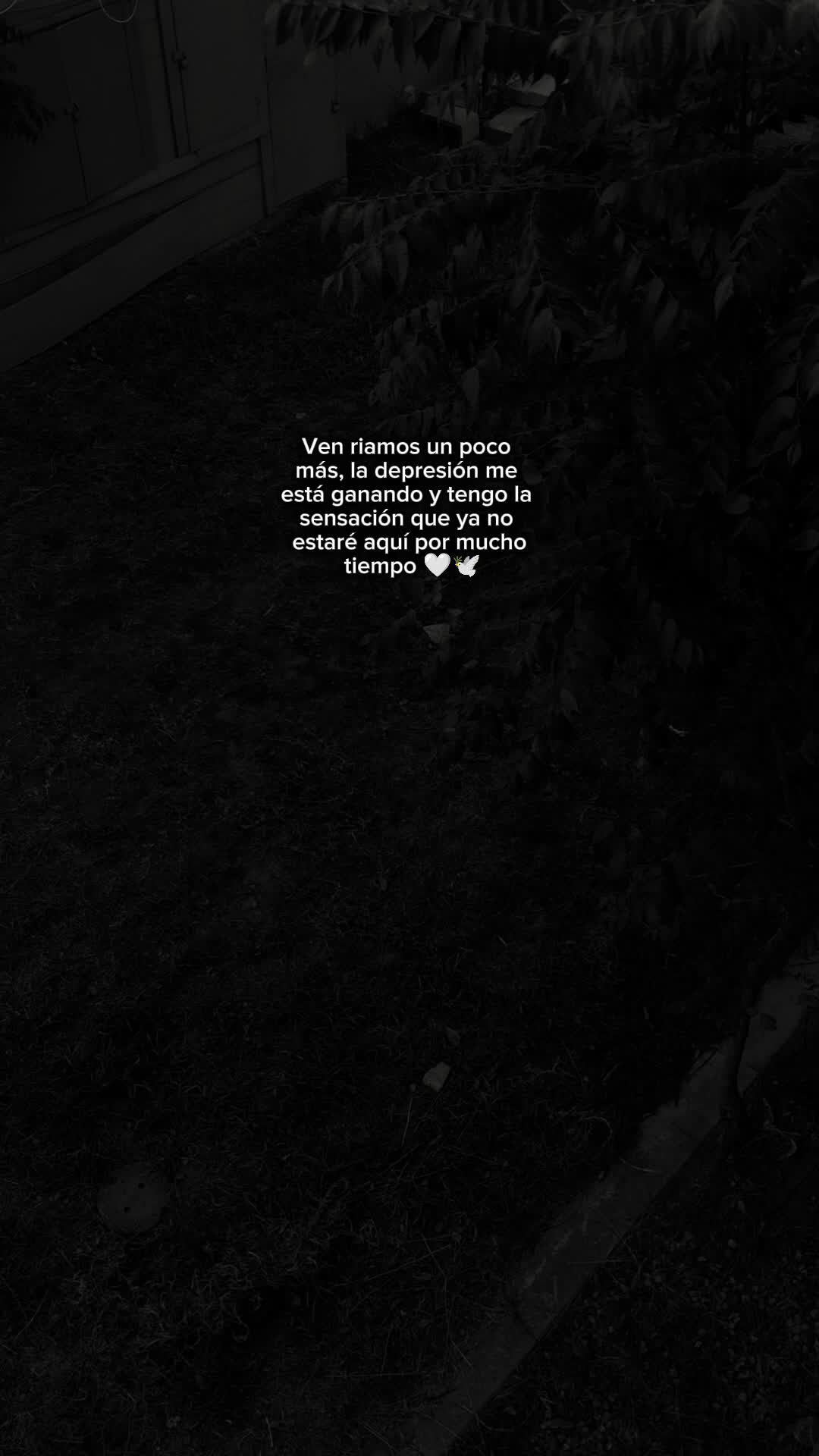 @🥀Marvin Israel 🪫💔