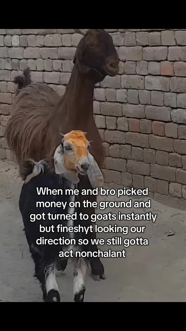 @Sam🌵