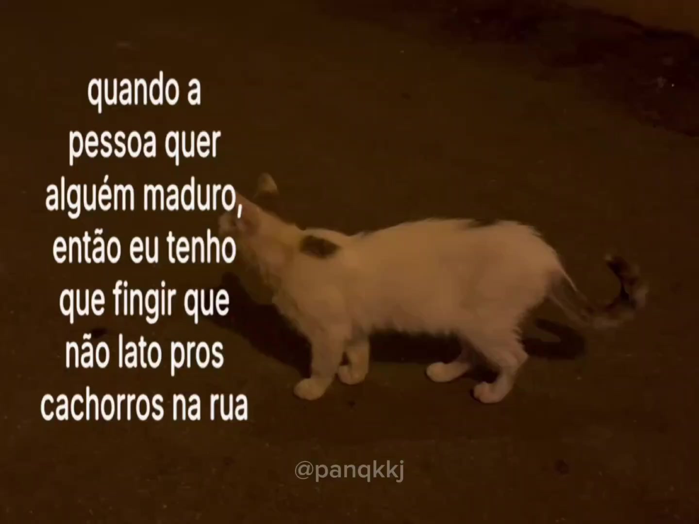@Pɑn ⚝