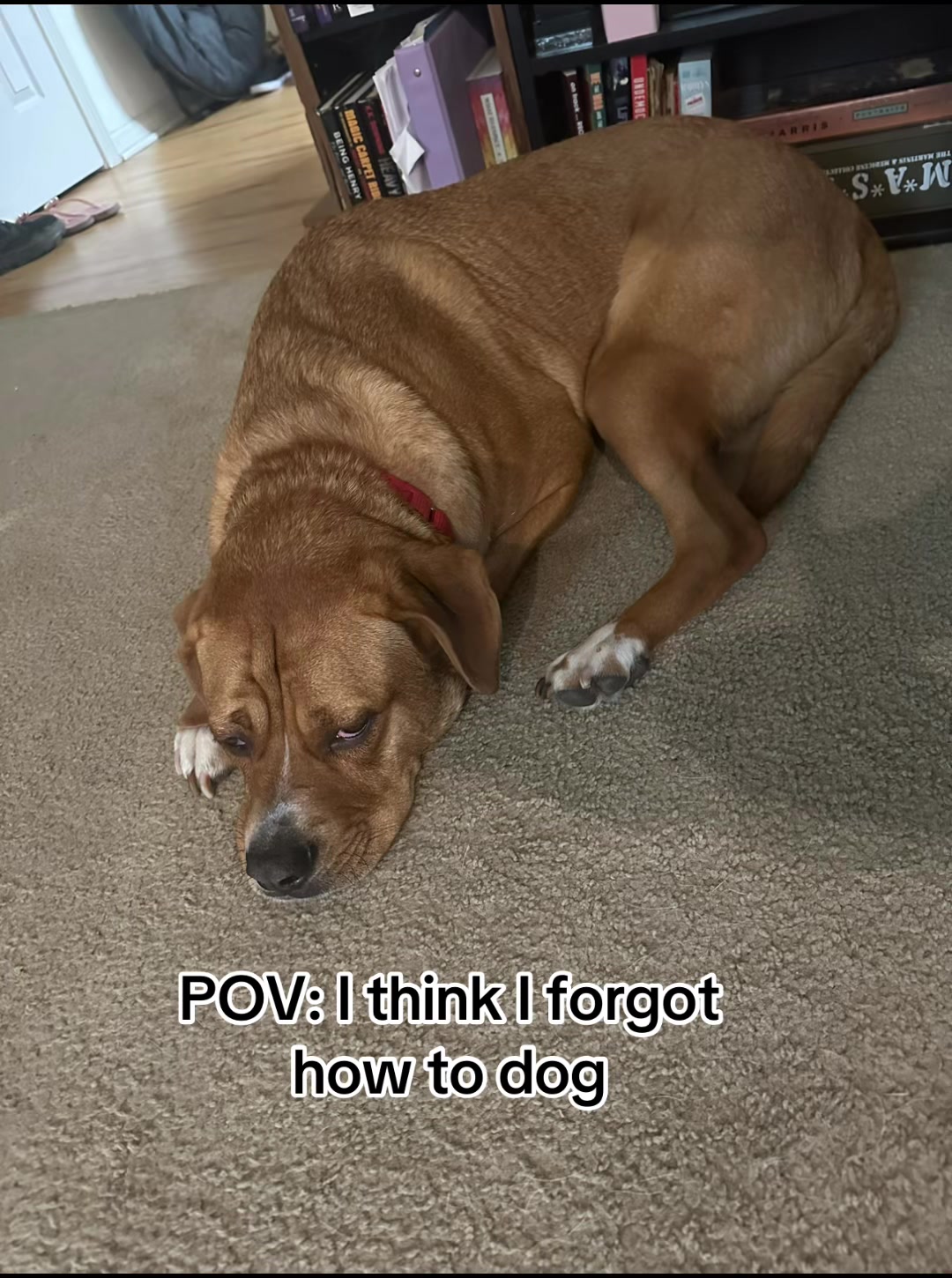 @Rob.Pugh