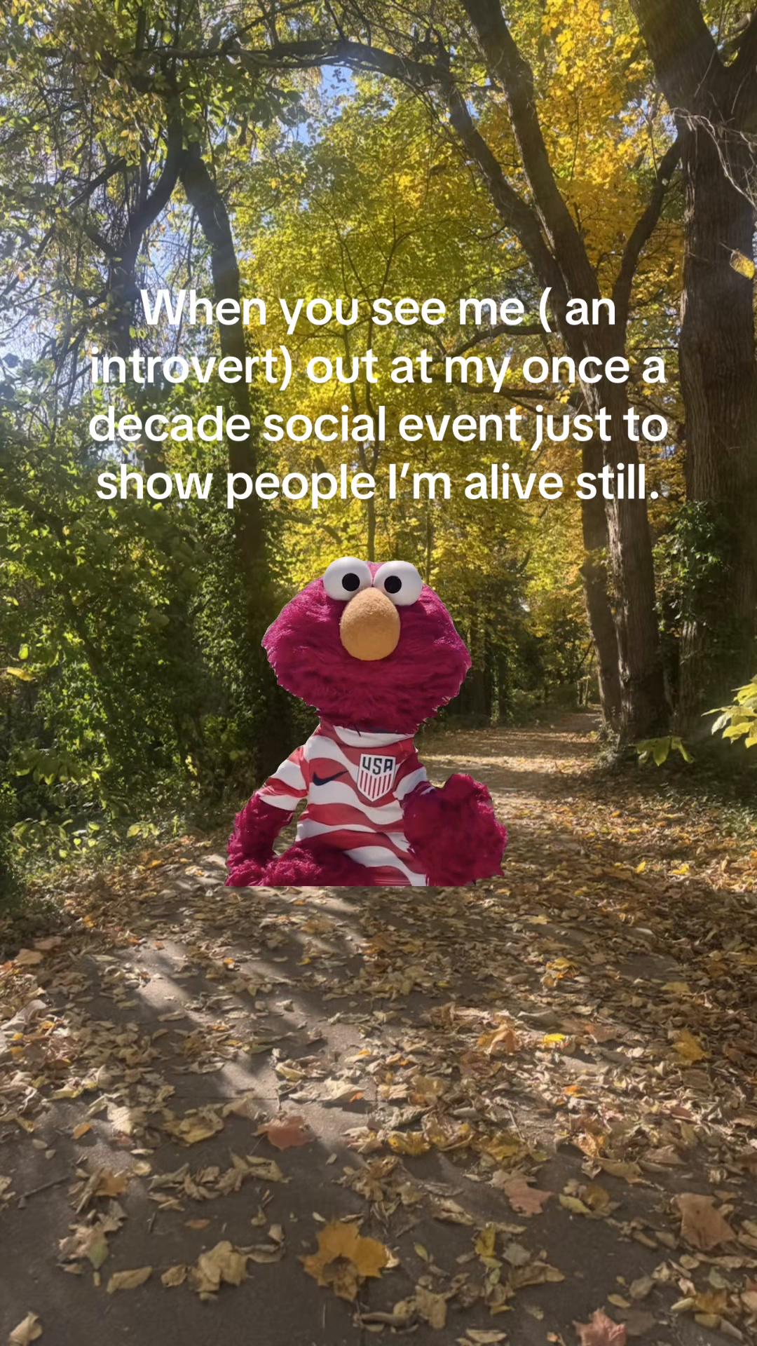 @IzzyT (Group 7)