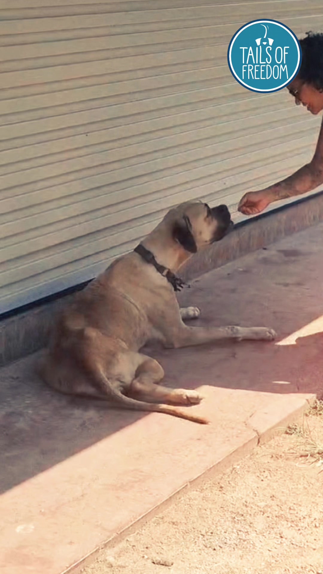 @tailsoffreedomsl