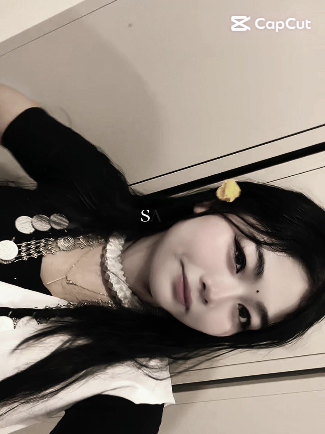 @🐼