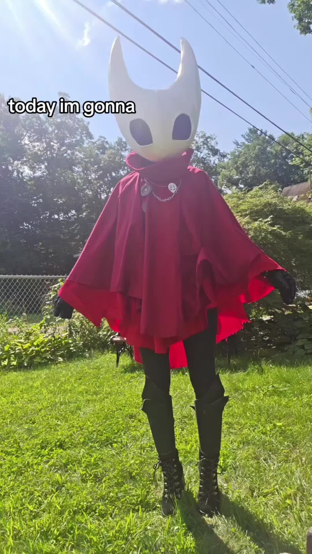 @ZosterDragon