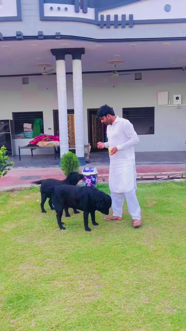 @Mr Talha_Dhillon 786🦅