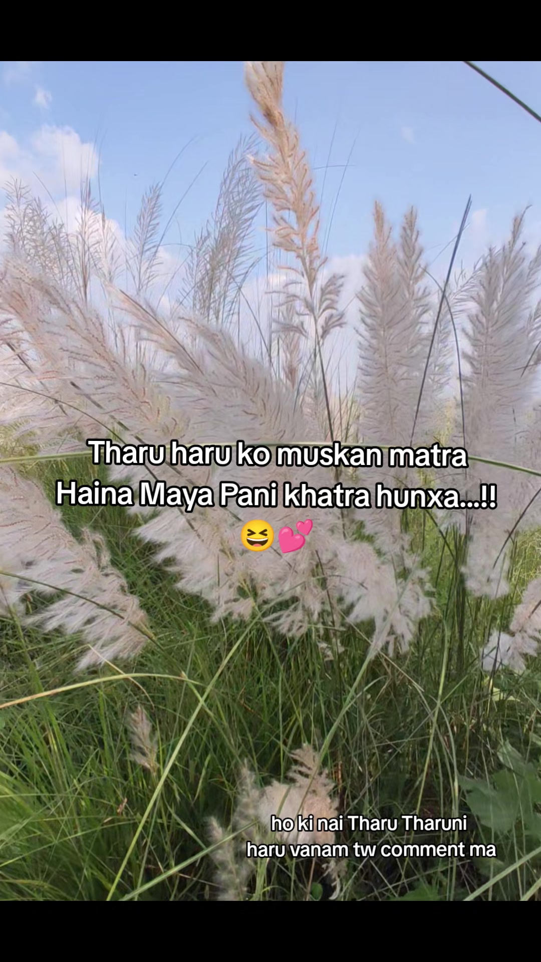 @Chyang ♡