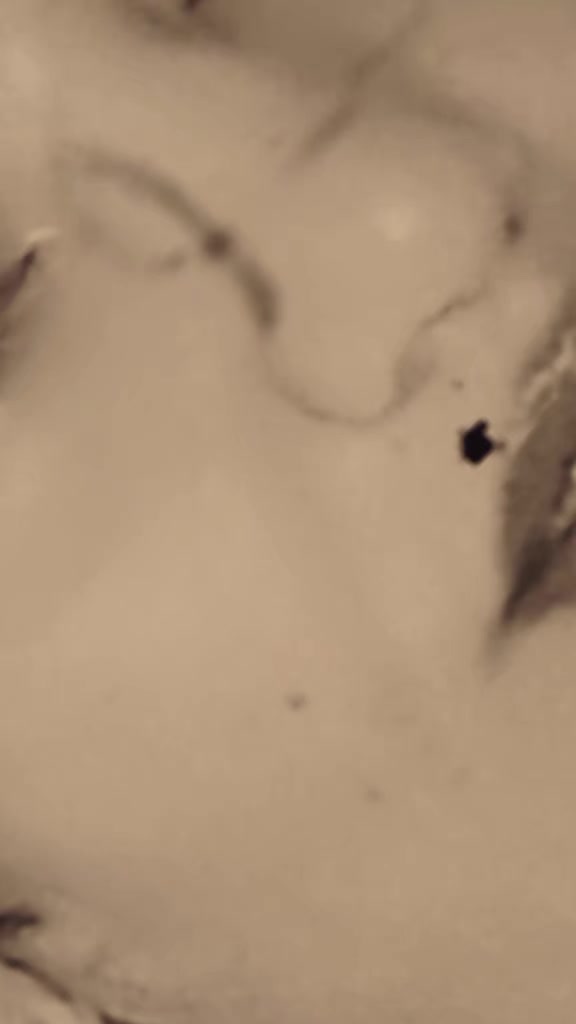 @☪52𝐋𝐞𝐲𝐥𝐨ş59,🥰