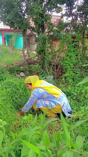 @Kashmir Ajk