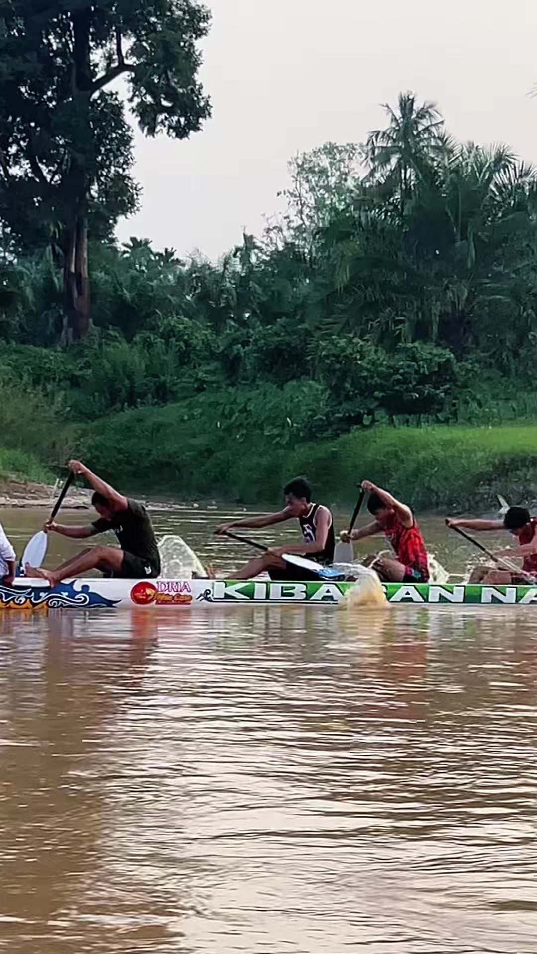 @ANAKBUJANGOMAK🔥