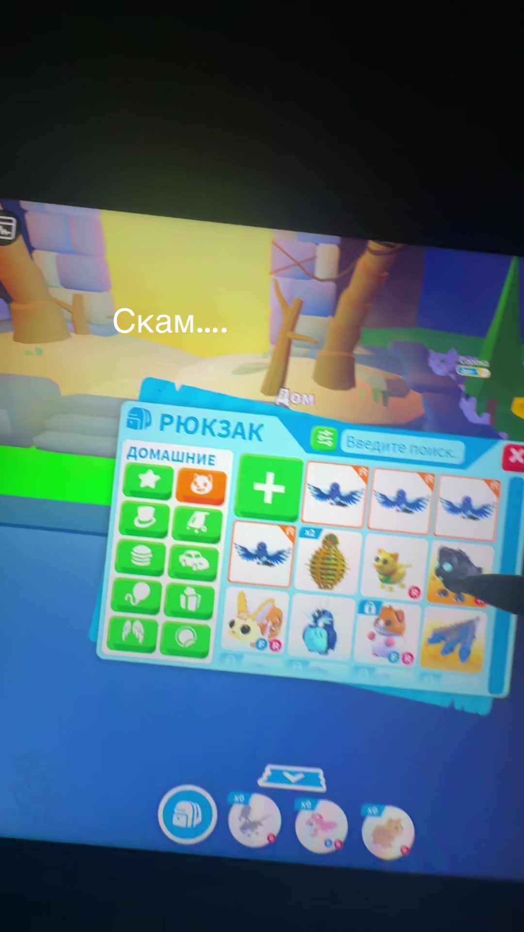@°𐙚🍬𝒞𝒶𝓃𝒹𝓎 𝒶𝒹𝑜𝓅𝓉 ୨୧°