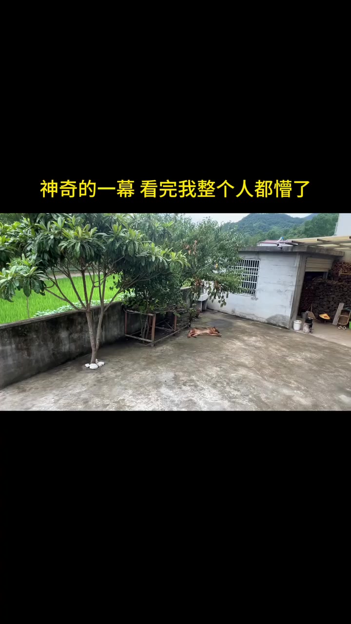 @Dennis Teo