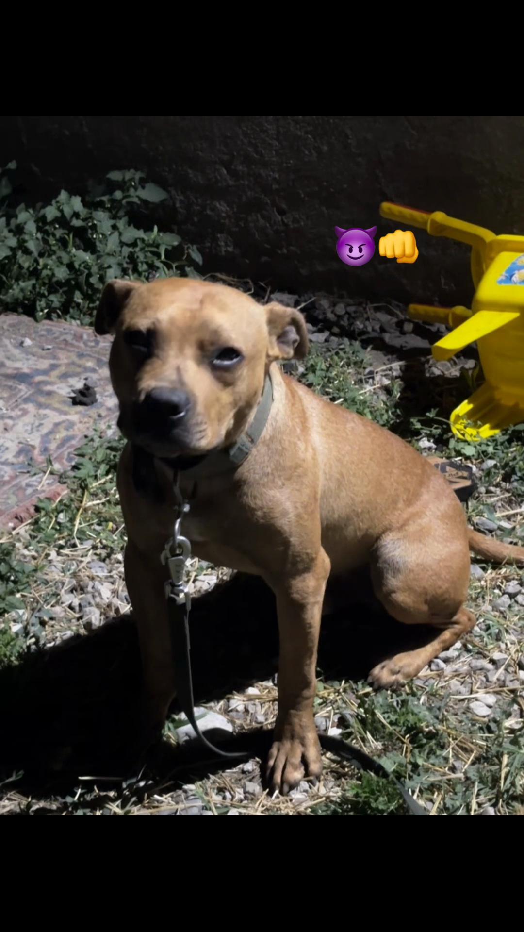 @Joker_pit8