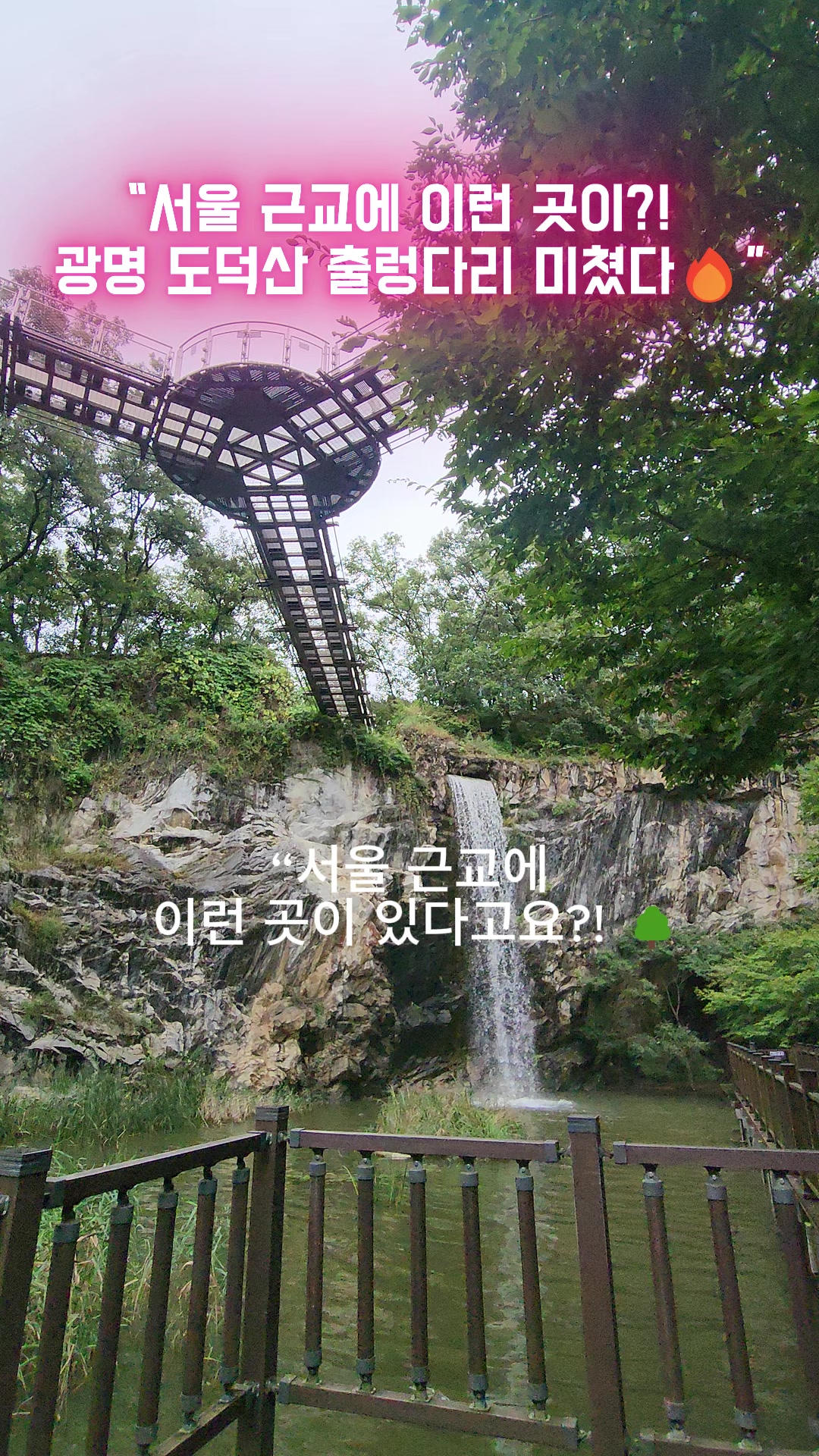 @로즈