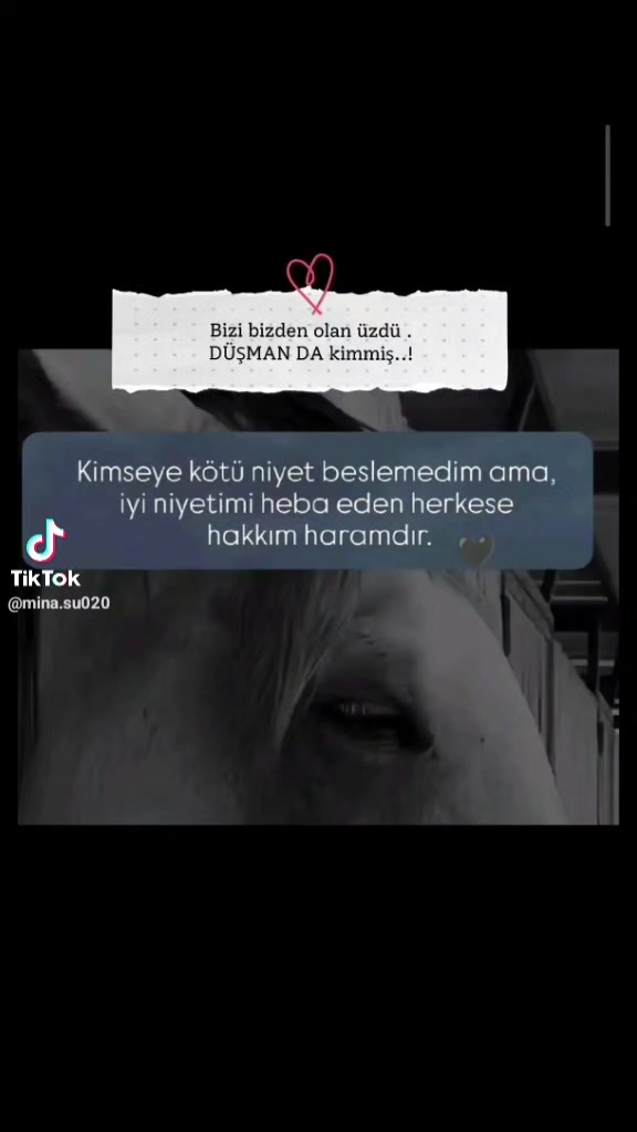 @Rıza Gezici