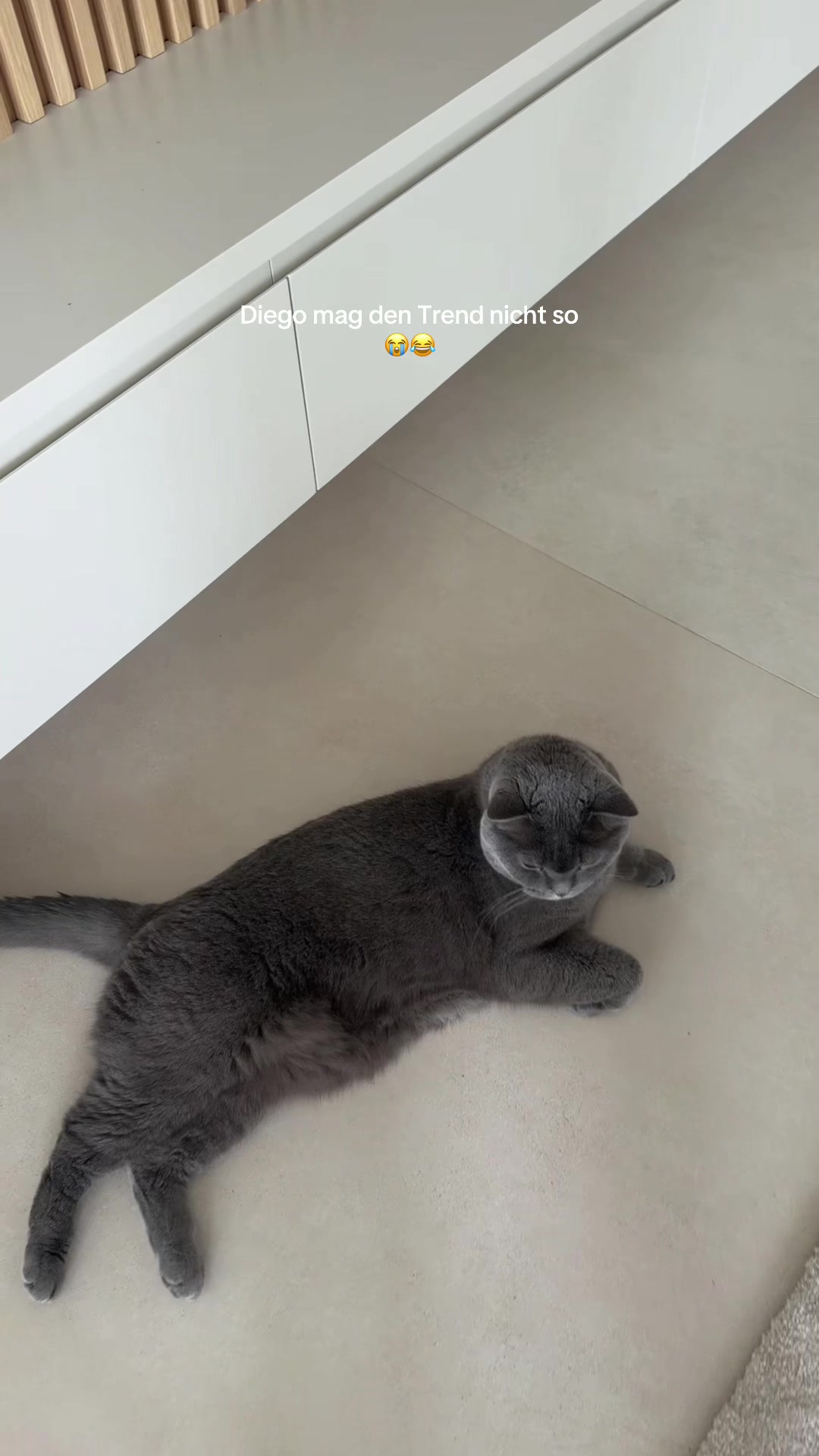 @xmelinasworld