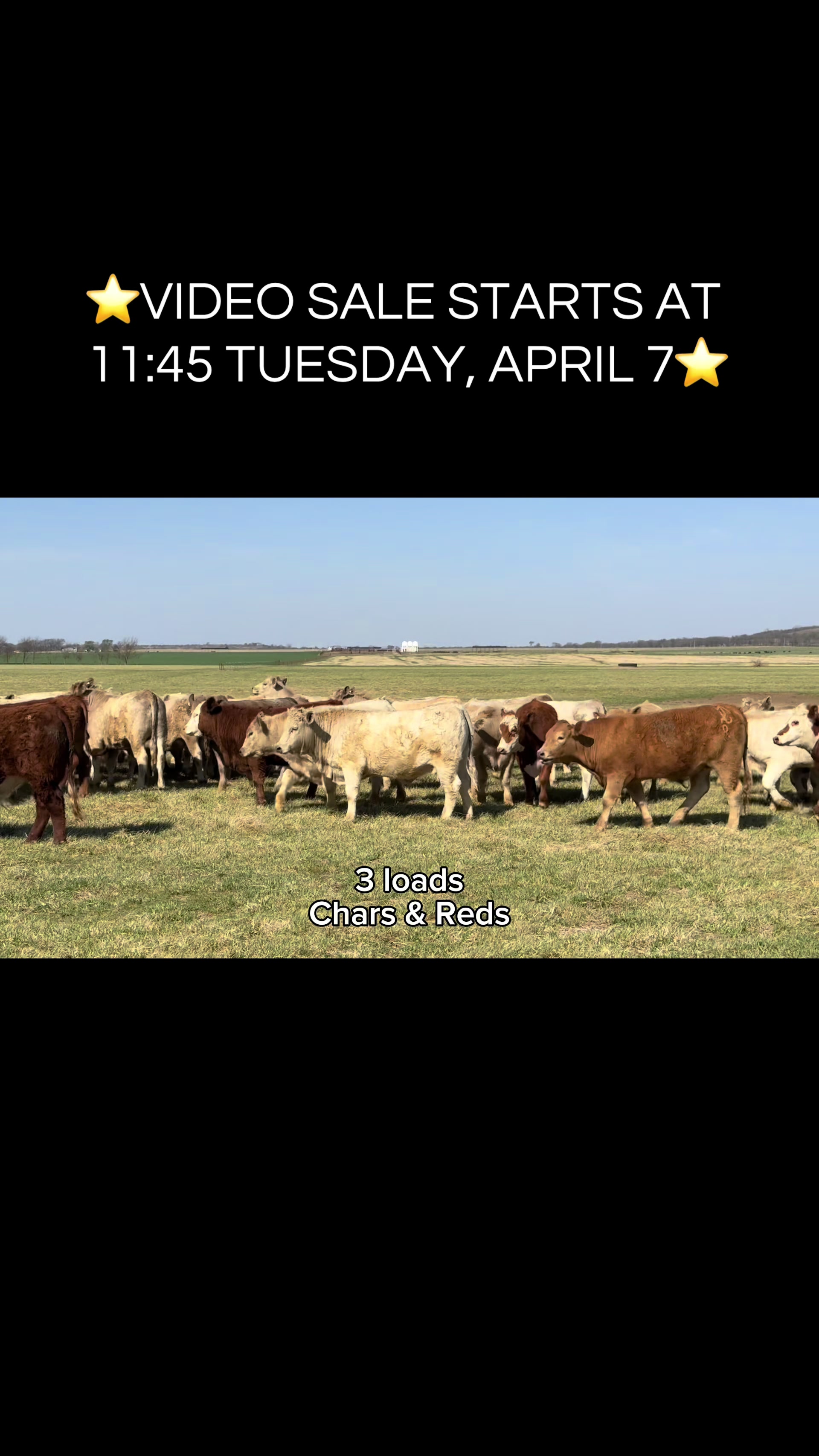@Welch Stockyards