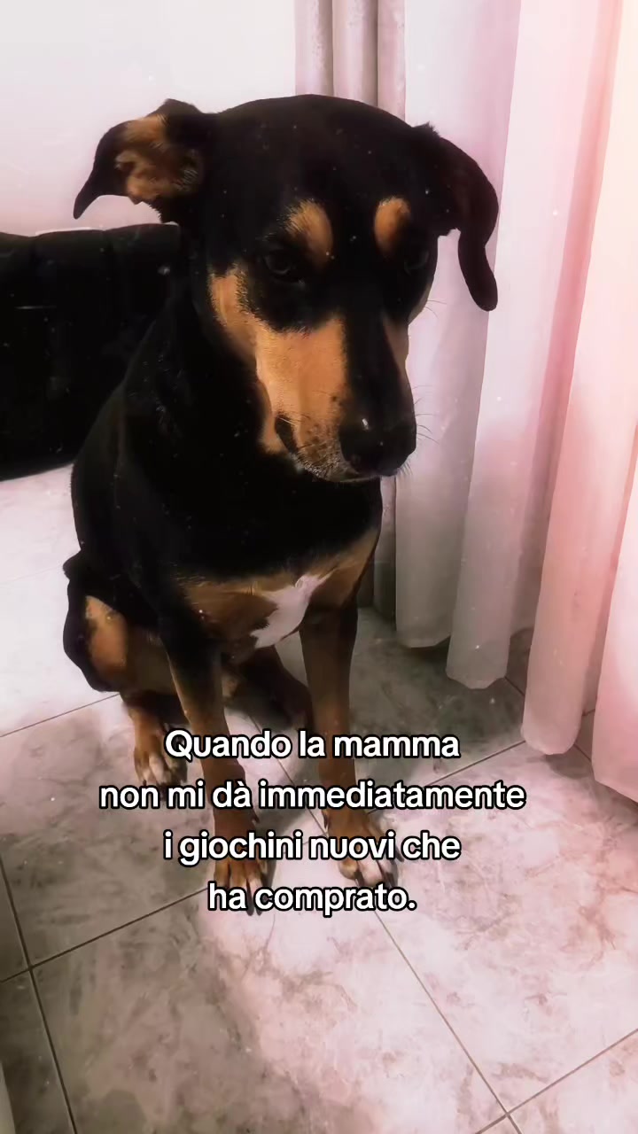 @.❤️🍭Ɍï𝓉𝖆🍭❤.🎧🧸