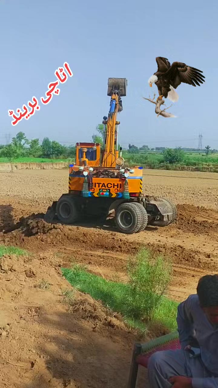 @Phool Melad
