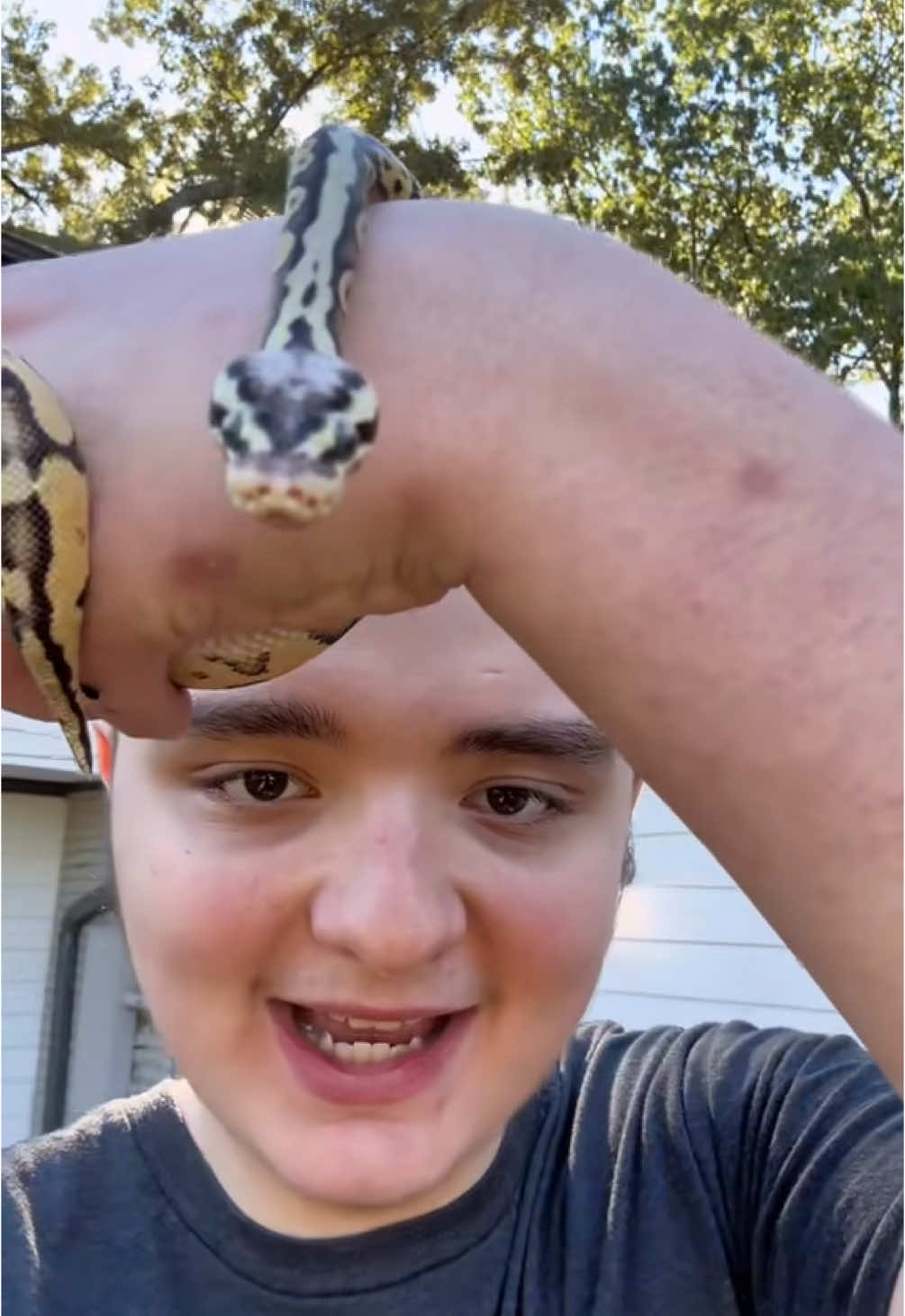 @Jax&rsquo;s Reptiles!