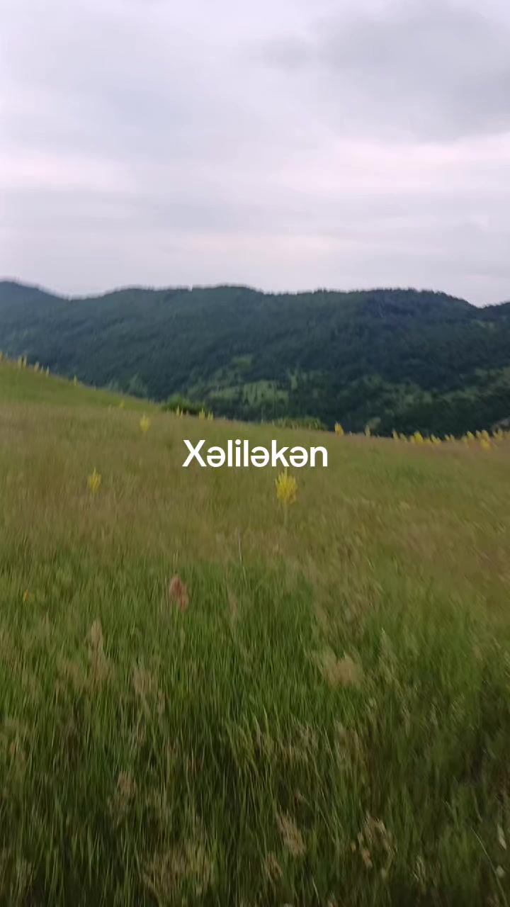 @VETERAN 041