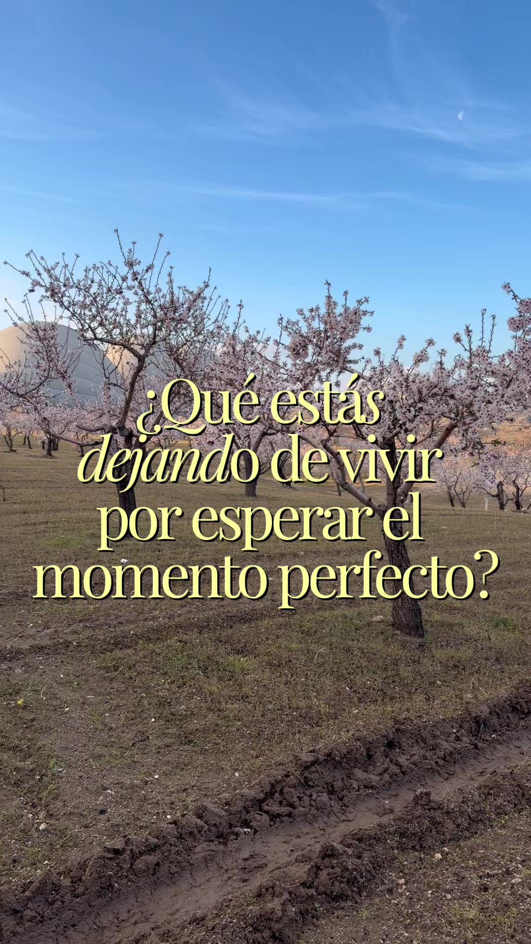 @Sofía Vélez