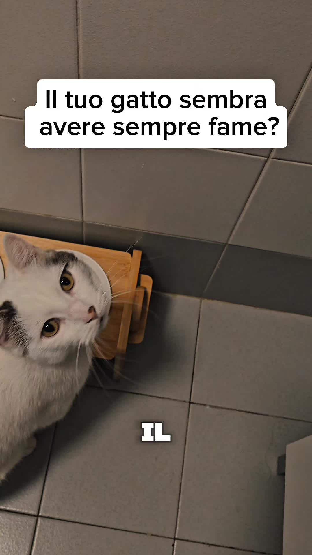 @Dr.ssa Sandra Viana