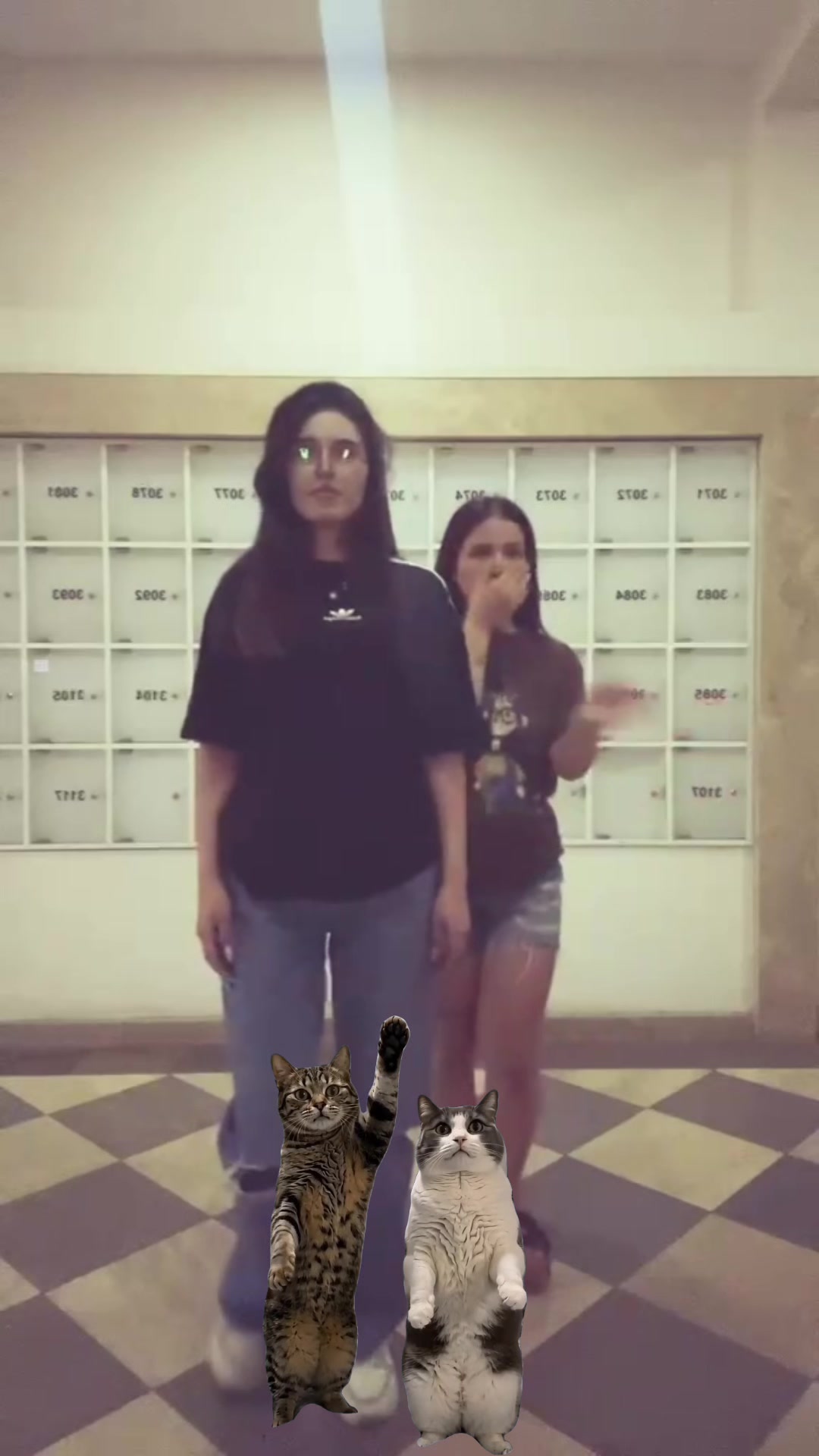 @jasmin13🦊