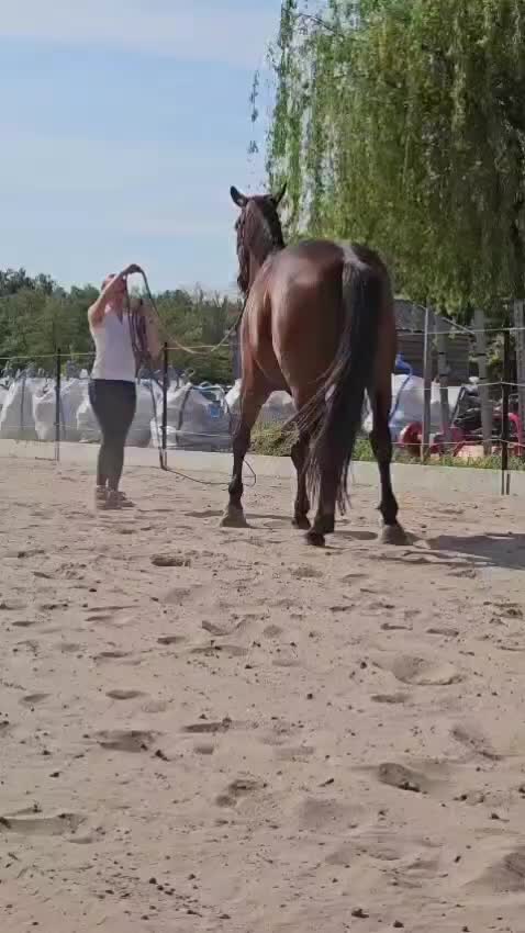 @Jessie De Reydt