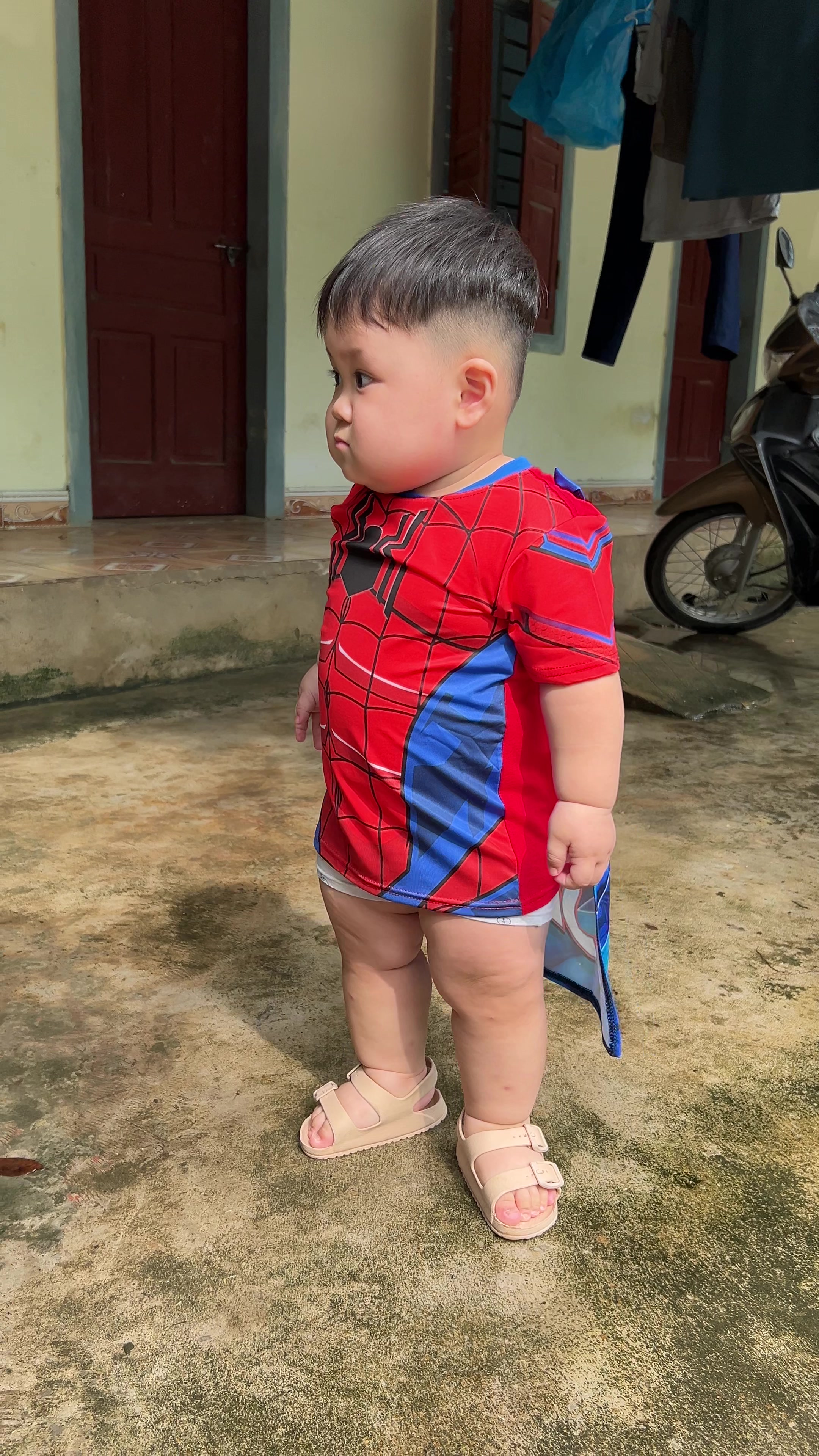 @Sứa biển🪼