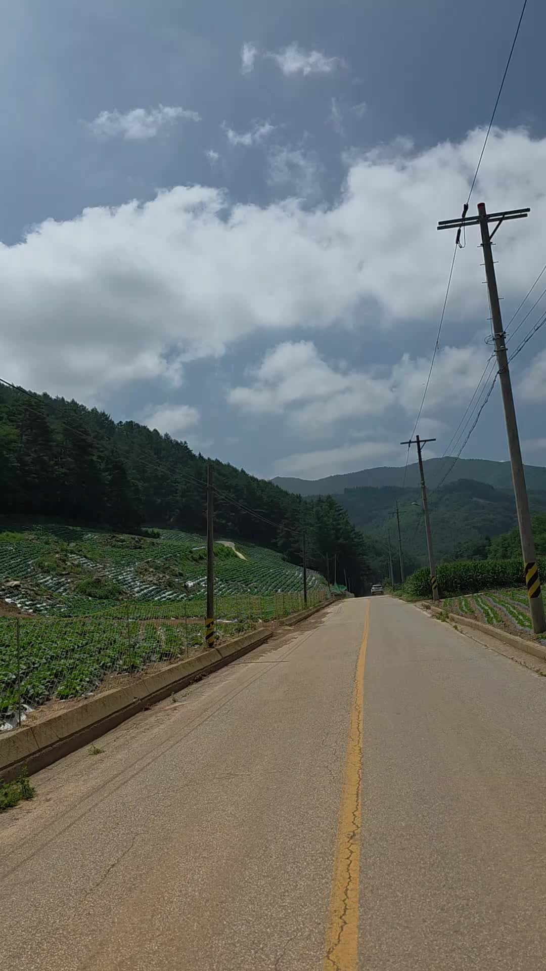 @유튜브 "정선사람들" 안용현