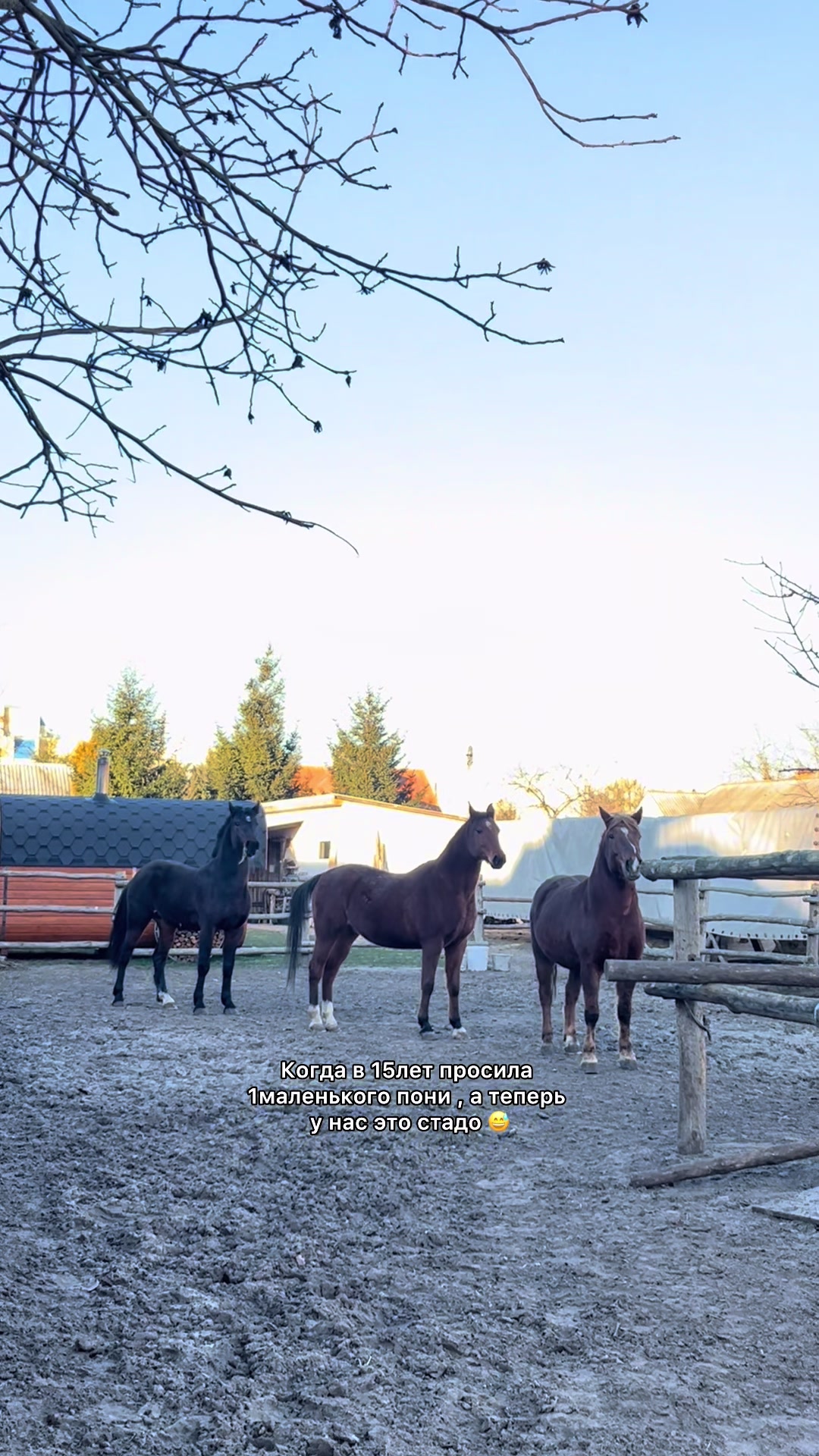 @❗Брест❗ 🐎Конюшня 🐎