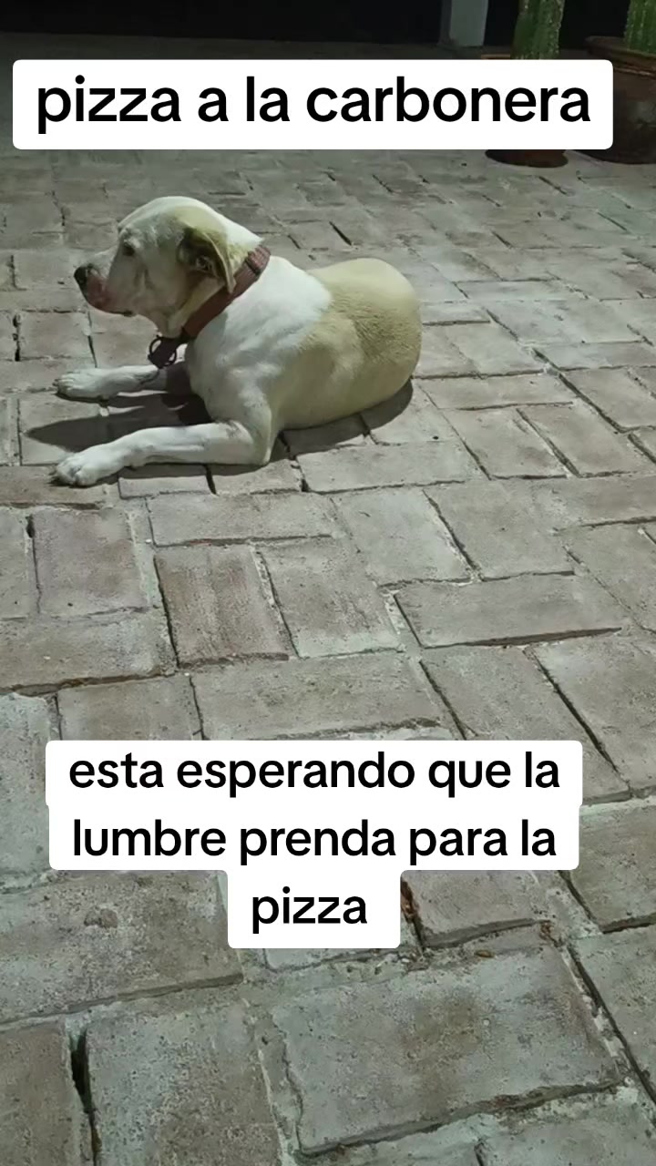@Andreina