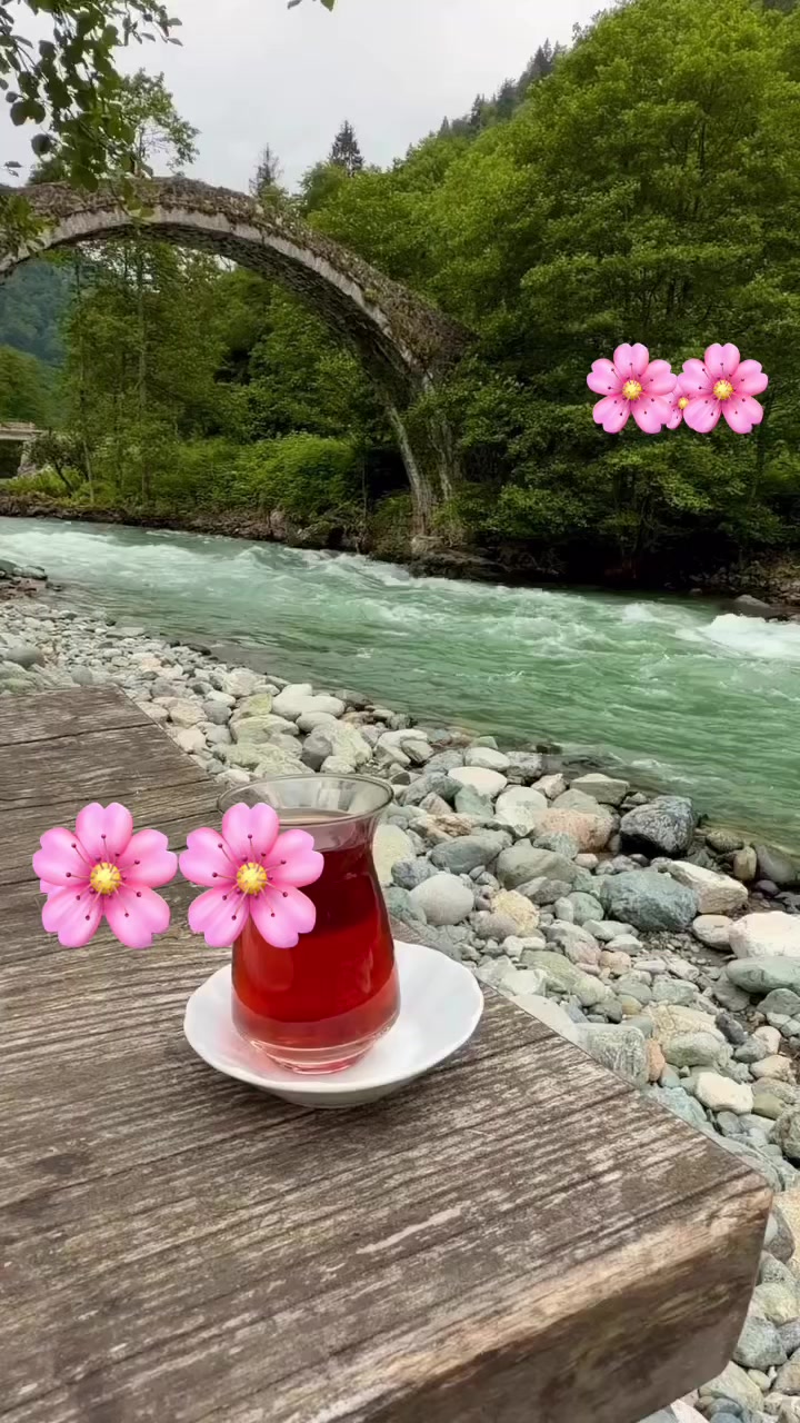 @💚 𝓗𝓪𝓷𝔃𝓪𝓭𝓮💙