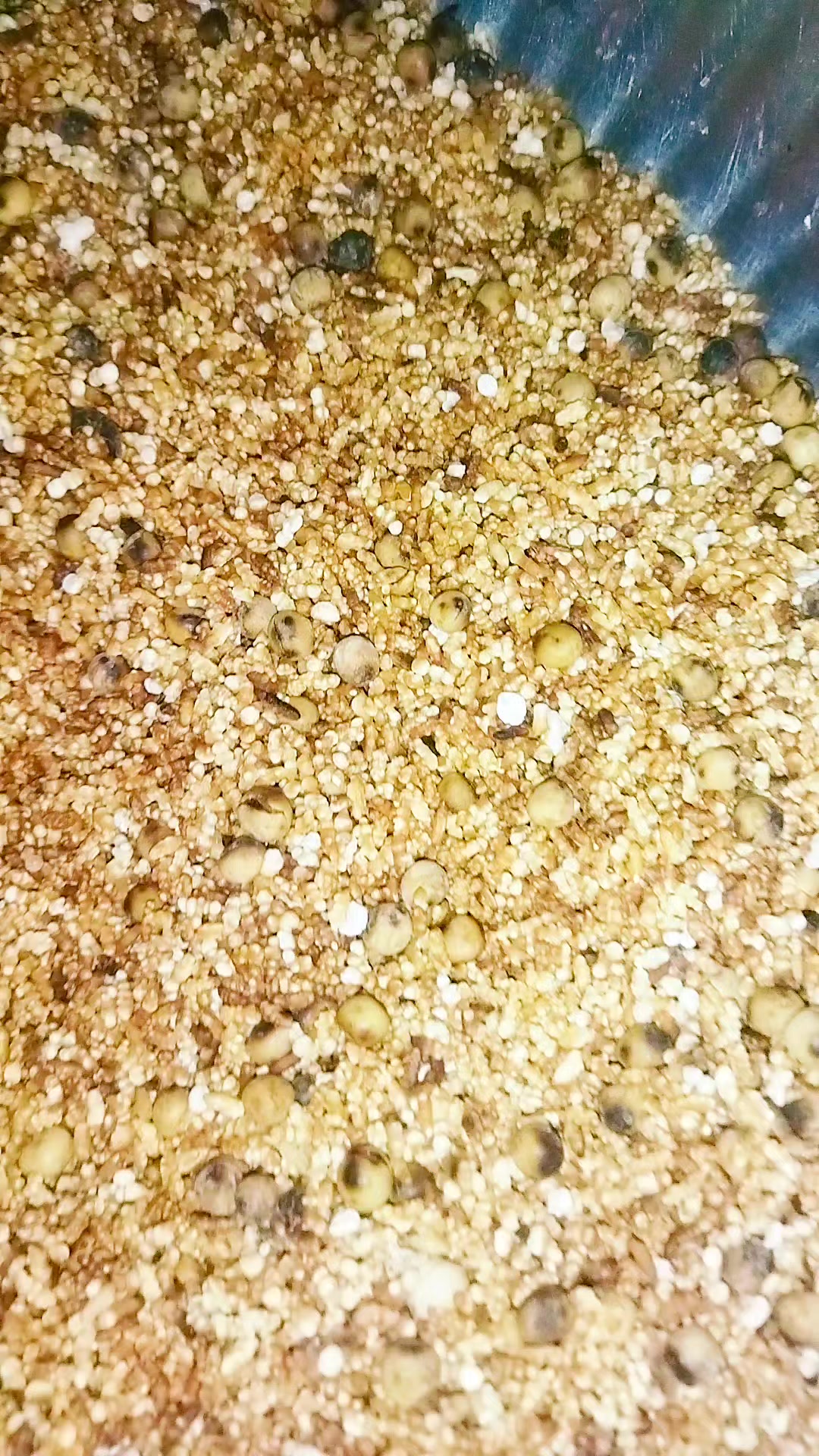 @🥰 মা-বাবার রাজকন্যা 🥰