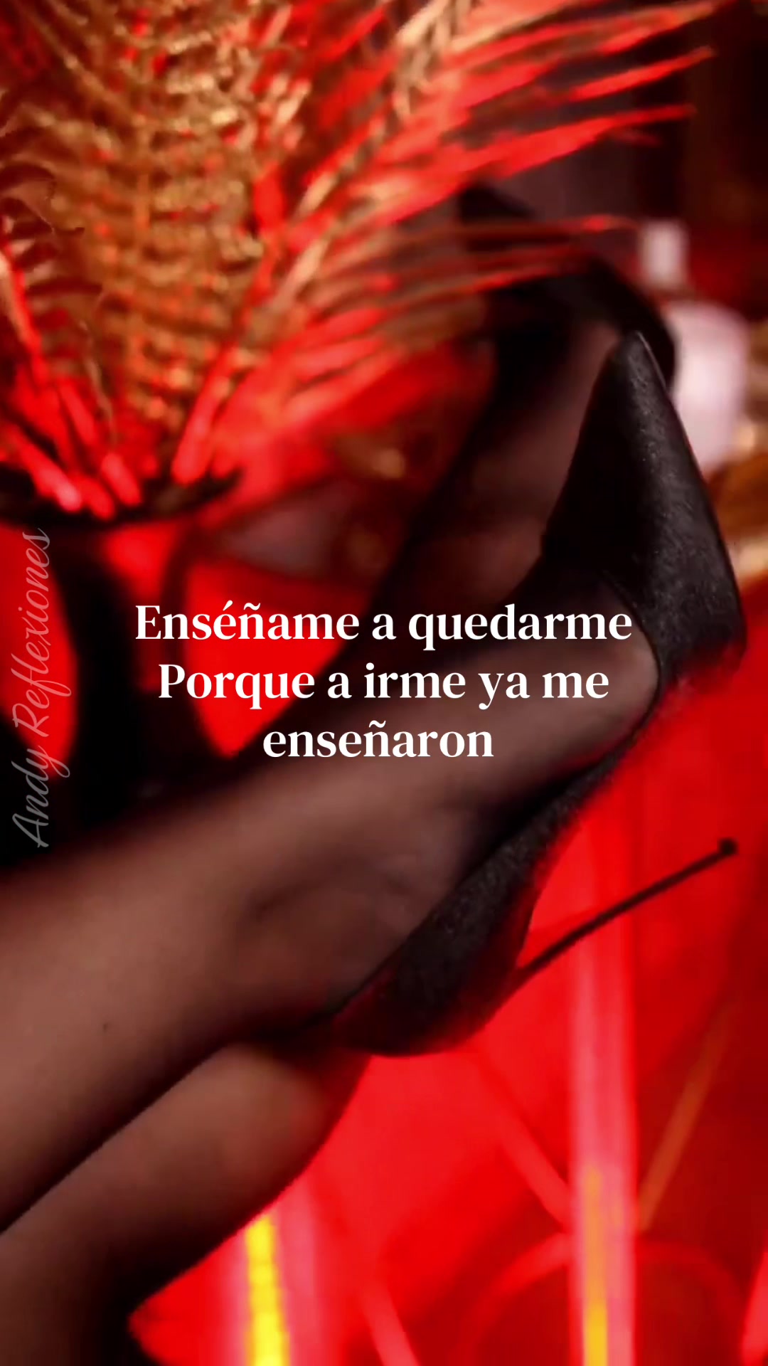@ANDY-REFLEXIONES 🌹
