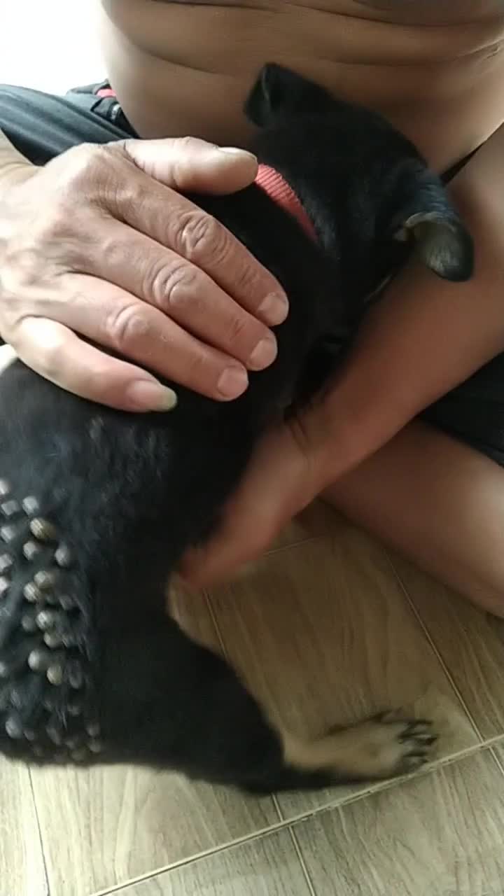 @siuthanh81