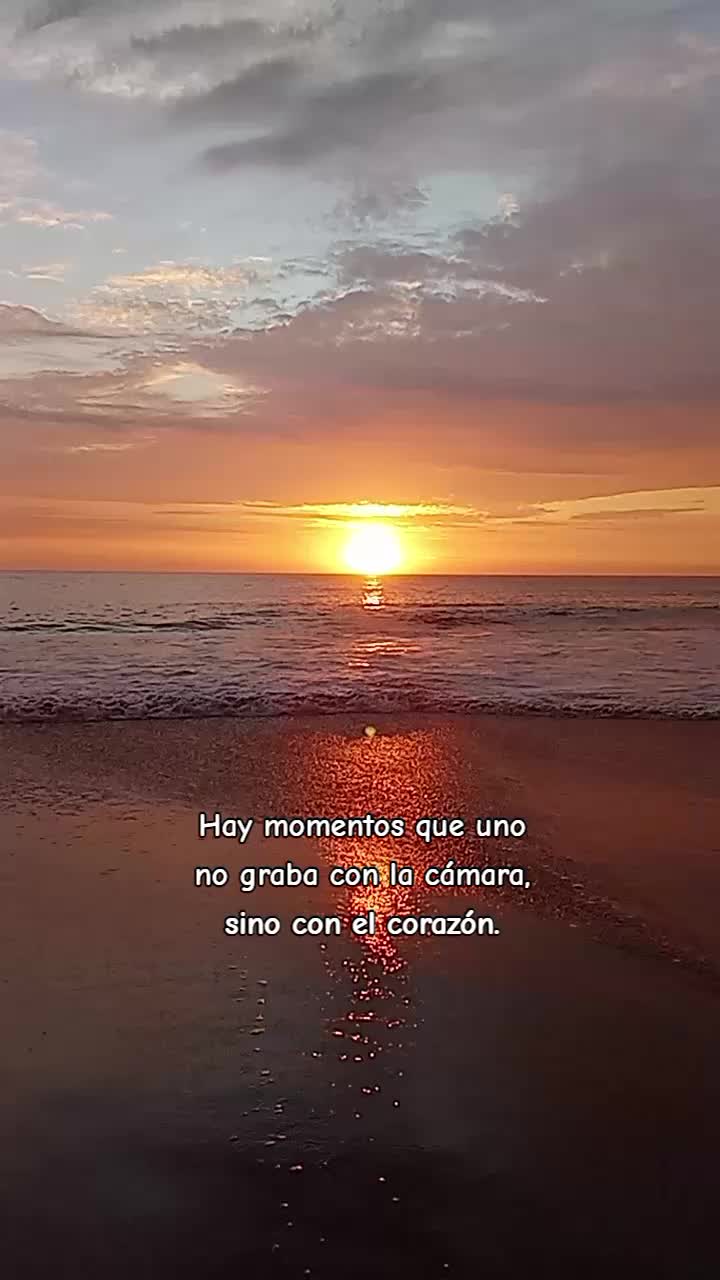 @Nani Torres