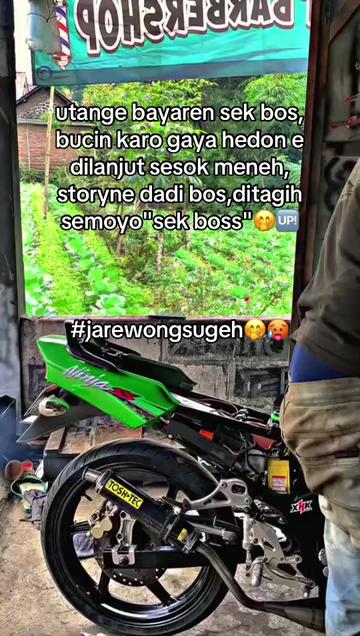 @ternosontek⚡