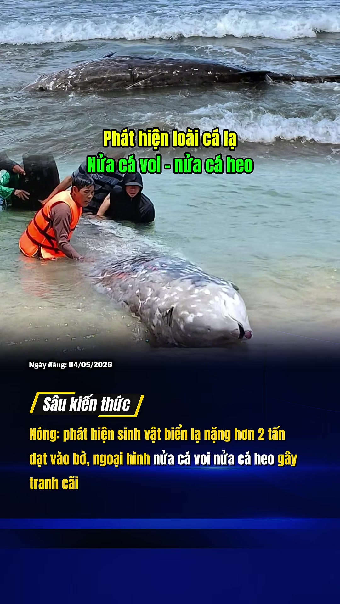 @Sâu Kiến thức