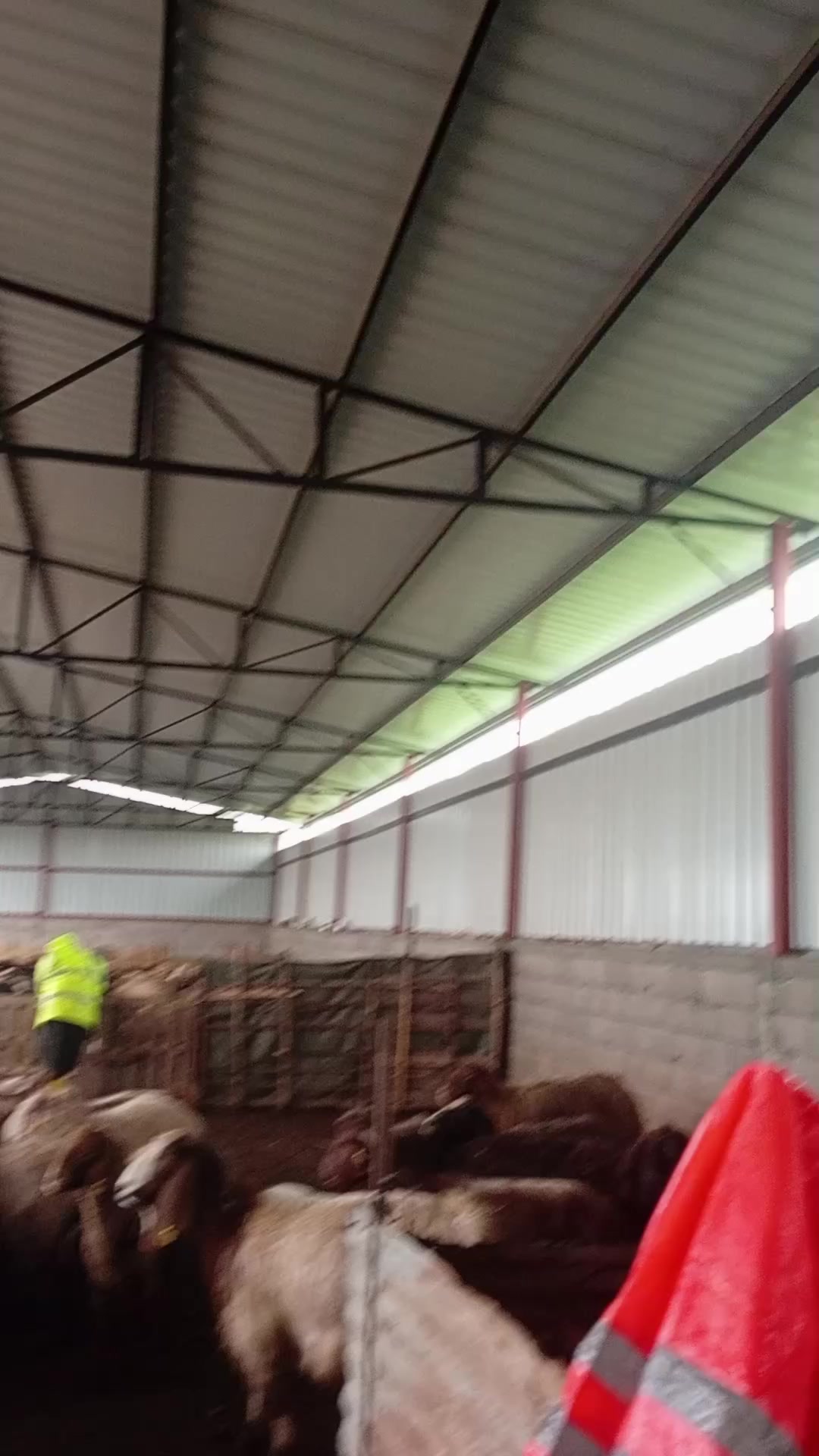 @yusuf göncü