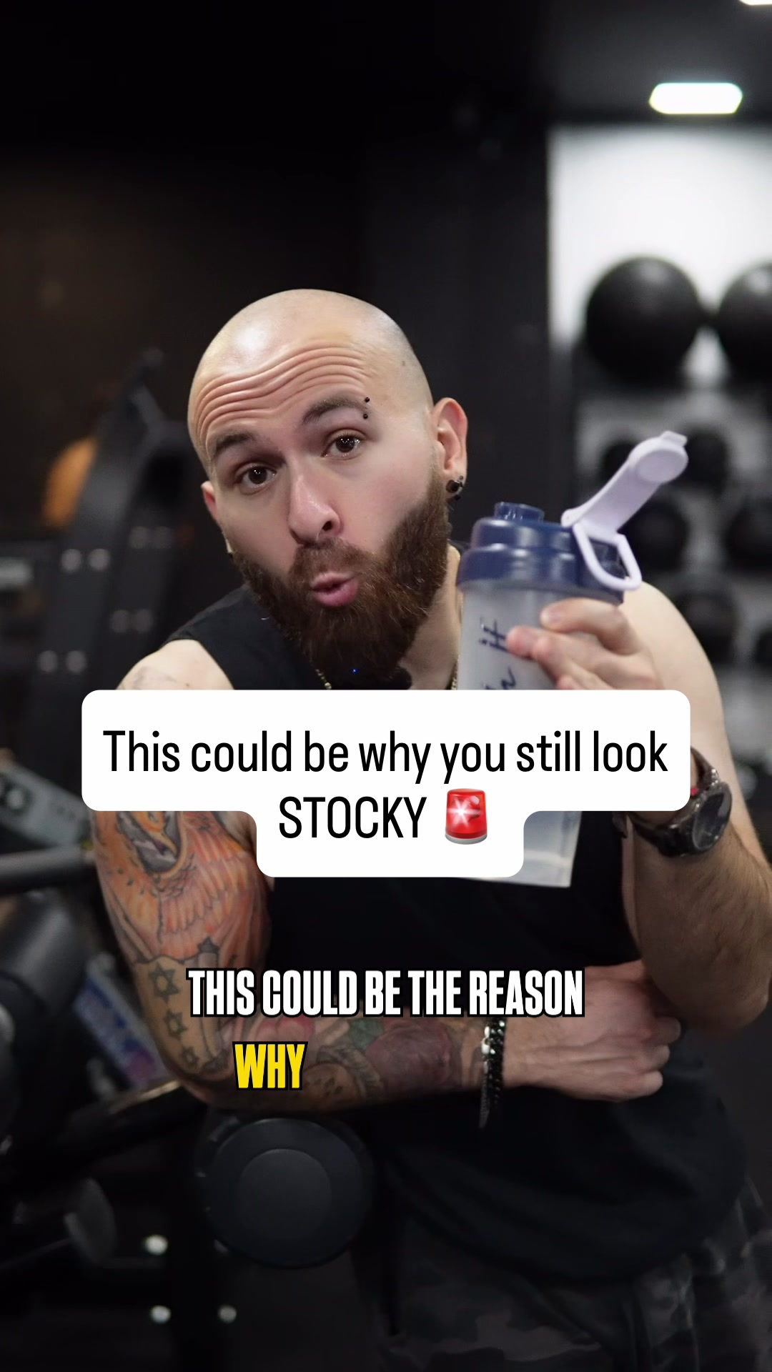 @AwolMuscle